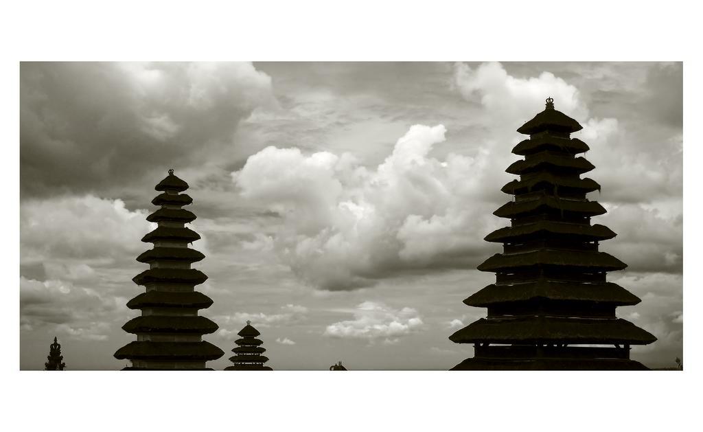 Narendra Guest House Ubud Esterno foto